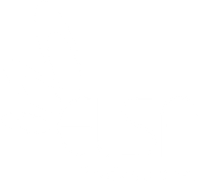 Elsa Professional